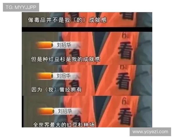 《血洗金三角》：一场枭雄末路的史诗，揭秘亚洲神秘毒枭的传奇与罪恶