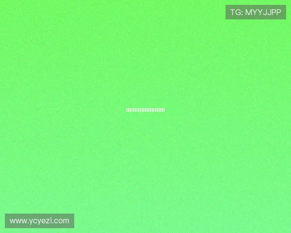 平壤之约：一场跨越边界的心灵之旅